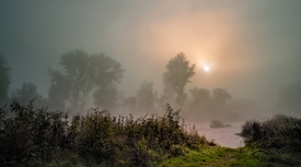 morning mist/9824156